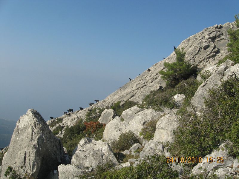 G.BahÃƒÂƒÃ‚ÂƒÃƒÂ‚Ã‚Â§e - N.Dere 25 Ekim 10 162.jpg