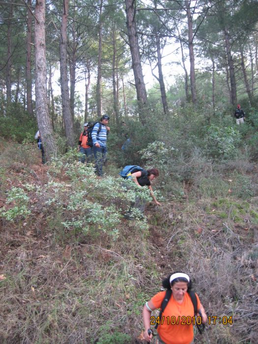 G.BahÃƒÂƒÃ‚ÂƒÃƒÂ‚Ã‚Â§e - N.Dere 25 Ekim 10 170.jpg