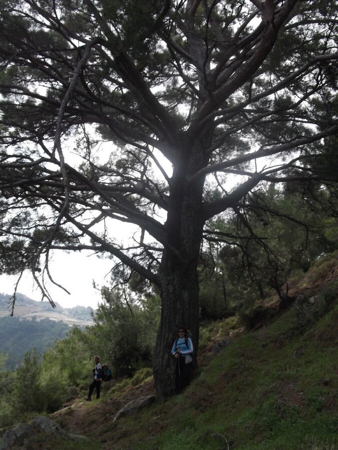 G.BahÃƒÂƒÃ‚ÂƒÃƒÂ‚Ã‚Â§e - Papaz - ÃƒÂƒÃ‚ÂƒÃƒÂ‚Ã‚Â‡atalkayalar (01 Nisan 2012)  00010.jpg