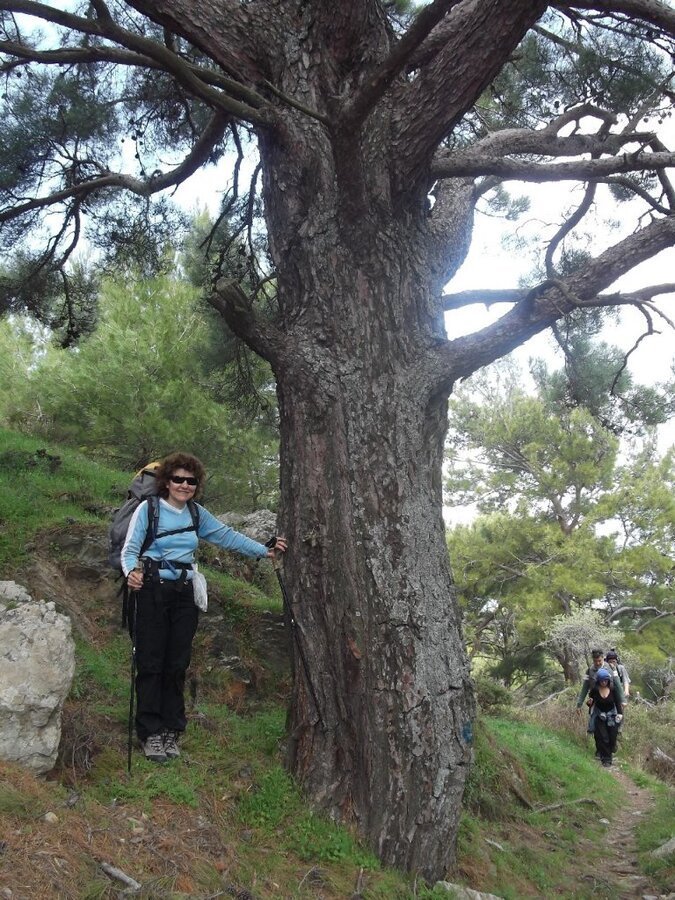 G.BahÃƒÂƒÃ‚ÂƒÃƒÂ‚Ã‚Â§e - Papaz - ÃƒÂƒÃ‚ÂƒÃƒÂ‚Ã‚Â‡atalkayalar (01 Nisan 2012)  00011.jpg