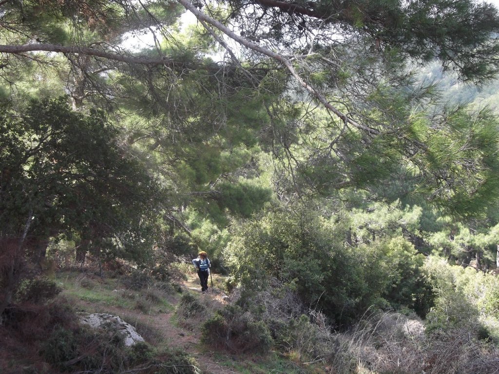 G.BahÃƒÂƒÃ‚ÂƒÃƒÂ‚Ã‚Â§e - Papaz - ÃƒÂƒÃ‚ÂƒÃƒÂ‚Ã‚Â‡atalkayalar (01 Nisan 2012)  00014.jpg