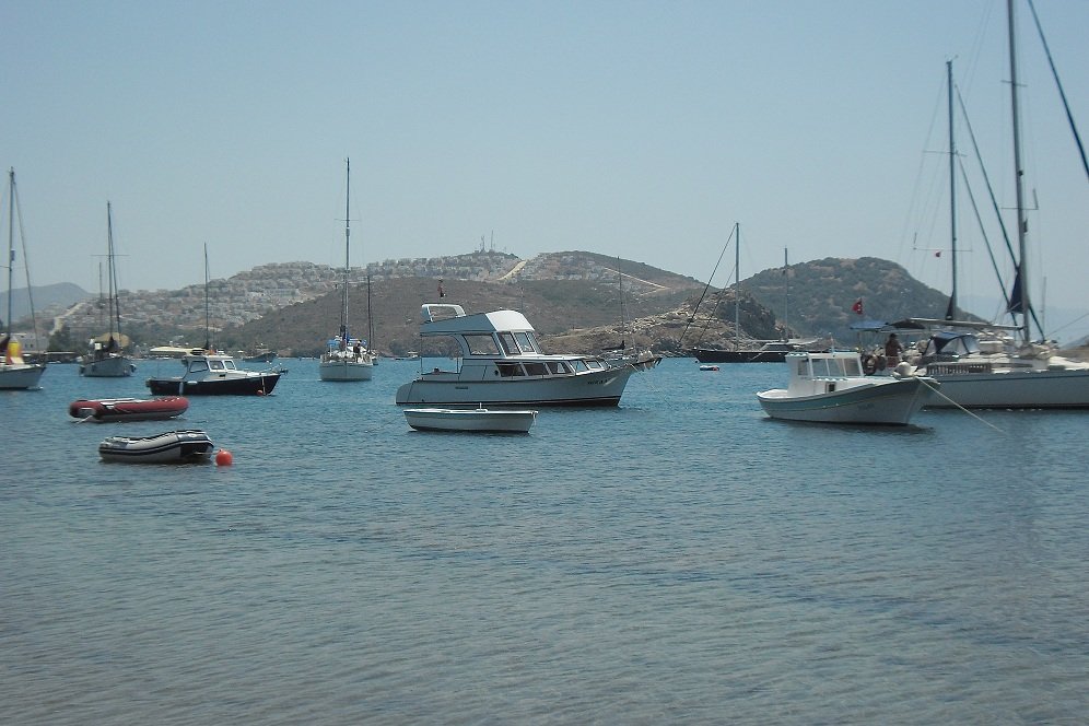 GÃƒÂƒÃ‚ÂƒÃƒÂ‚Ã‚Â¼mÃƒÂƒÃ‚ÂƒÃƒÂ‚Ã‚Â¼ÃƒÂƒÃ‚Â…ÃƒÂ‚Ã‚ÂŸlÃƒÂƒÃ‚ÂƒÃƒÂ‚Ã‚Â¼k.JPG