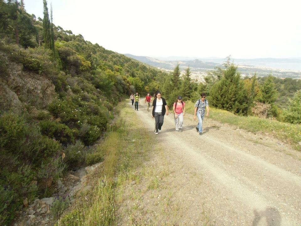 GÃƒÂƒÃ‚ÂƒÃƒÂ‚Ã‚Â¼zelbaÃƒÂƒÃ‚ÂƒÃƒÂ‚Ã‚Â§e - 3T - NarlÃƒÂƒÃ‚Â„ÃƒÂ‚Ã‚Â±dere 002.jpg