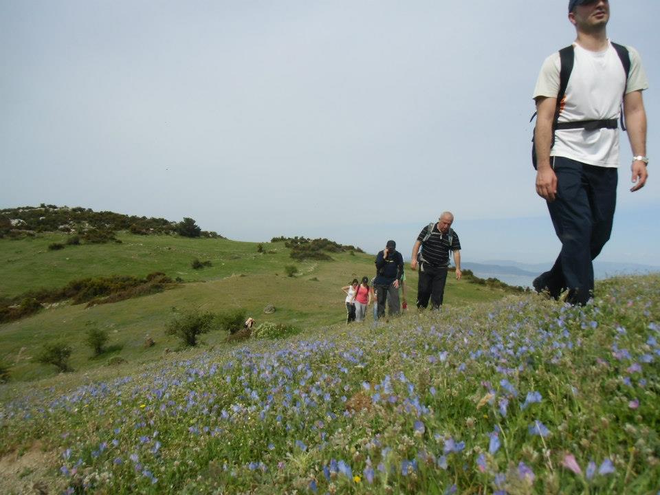 GÃƒÂƒÃ‚ÂƒÃƒÂ‚Ã‚Â¼zelbaÃƒÂƒÃ‚ÂƒÃƒÂ‚Ã‚Â§e - 3T - NarlÃƒÂƒÃ‚Â„ÃƒÂ‚Ã‚Â±dere 007.jpg