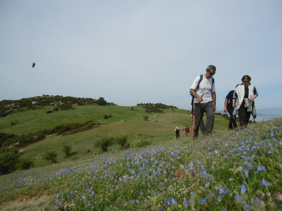 GÃƒÂƒÃ‚ÂƒÃƒÂ‚Ã‚Â¼zelbaÃƒÂƒÃ‚ÂƒÃƒÂ‚Ã‚Â§e - 3T - NarlÃƒÂƒÃ‚Â„ÃƒÂ‚Ã‚Â±dere 009.jpg