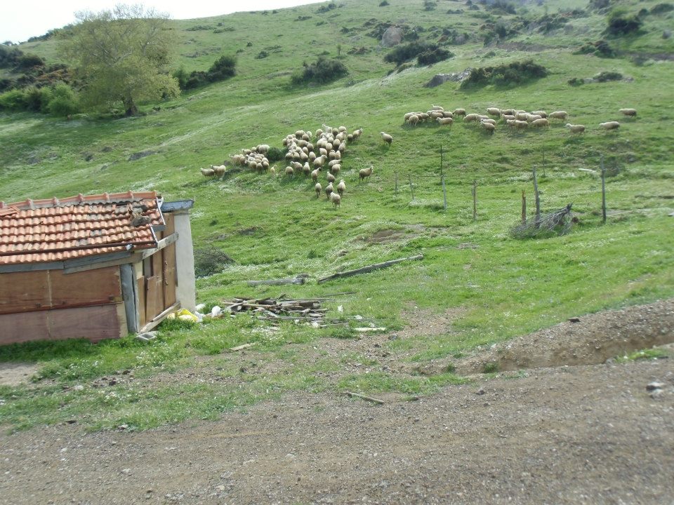 GÃƒÂƒÃ‚ÂƒÃƒÂ‚Ã‚Â¼zelbaÃƒÂƒÃ‚ÂƒÃƒÂ‚Ã‚Â§e - 3T - NarlÃƒÂƒÃ‚Â„ÃƒÂ‚Ã‚Â±dere 010.jpg