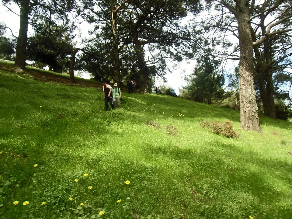 GÃƒÂƒÃ‚ÂƒÃƒÂ‚Ã‚Â¼zelbaÃƒÂƒÃ‚ÂƒÃƒÂ‚Ã‚Â§e - 3T - NarlÃƒÂƒÃ‚Â„ÃƒÂ‚Ã‚Â±dere 011.jpg