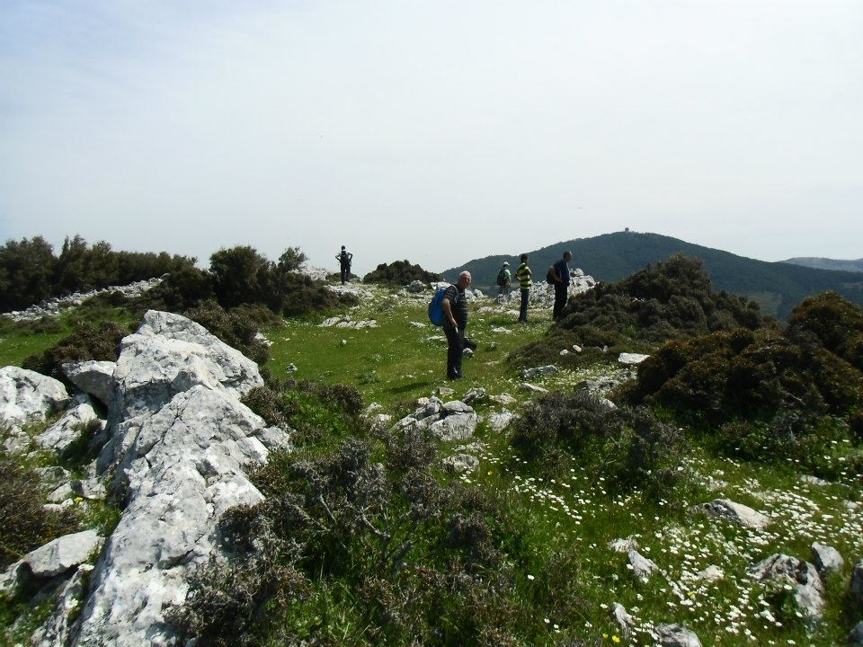 GÃƒÂƒÃ‚ÂƒÃƒÂ‚Ã‚Â¼zelbaÃƒÂƒÃ‚ÂƒÃƒÂ‚Ã‚Â§e - 3T - NarlÃƒÂƒÃ‚Â„ÃƒÂ‚Ã‚Â±dere 012.jpg