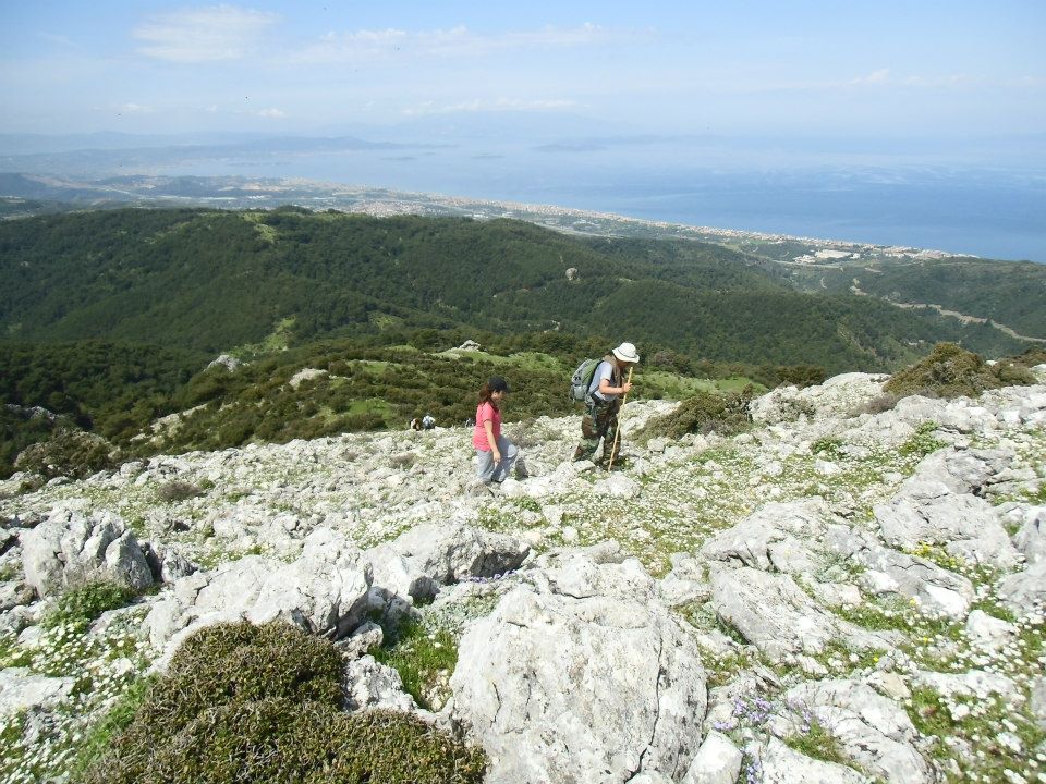 GÃƒÂƒÃ‚ÂƒÃƒÂ‚Ã‚Â¼zelbaÃƒÂƒÃ‚ÂƒÃƒÂ‚Ã‚Â§e - 3T - NarlÃƒÂƒÃ‚Â„ÃƒÂ‚Ã‚Â±dere 013.jpg