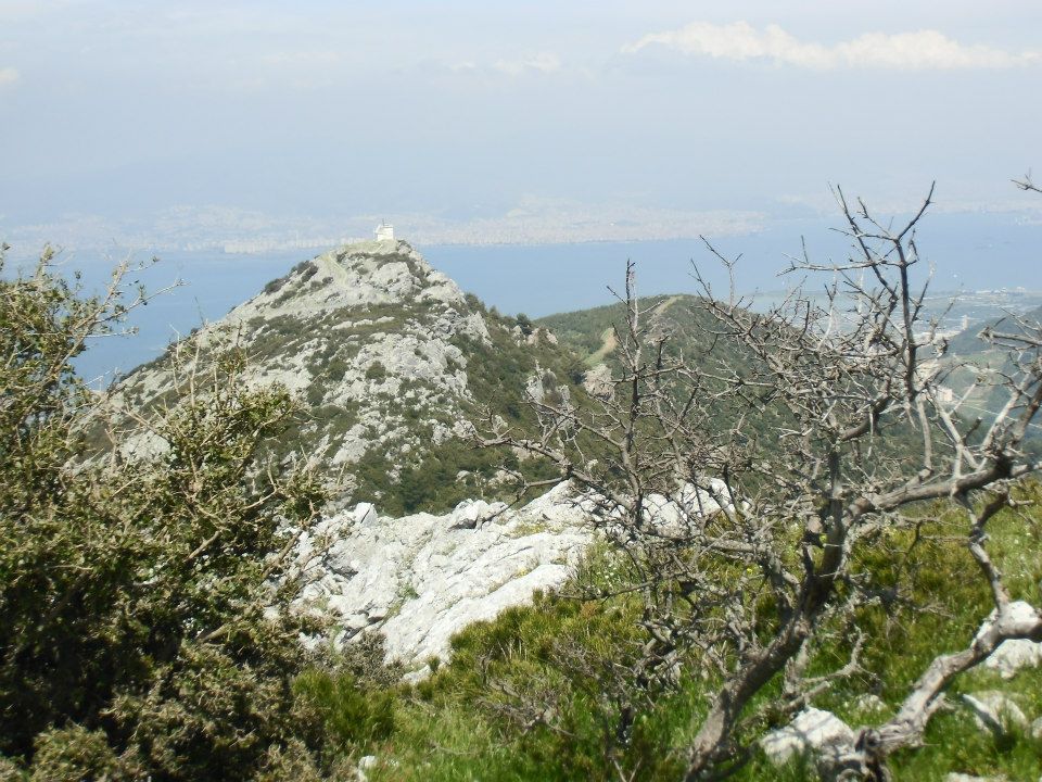 GÃƒÂƒÃ‚ÂƒÃƒÂ‚Ã‚Â¼zelbaÃƒÂƒÃ‚ÂƒÃƒÂ‚Ã‚Â§e - 3T - NarlÃƒÂƒÃ‚Â„ÃƒÂ‚Ã‚Â±dere 017.jpg