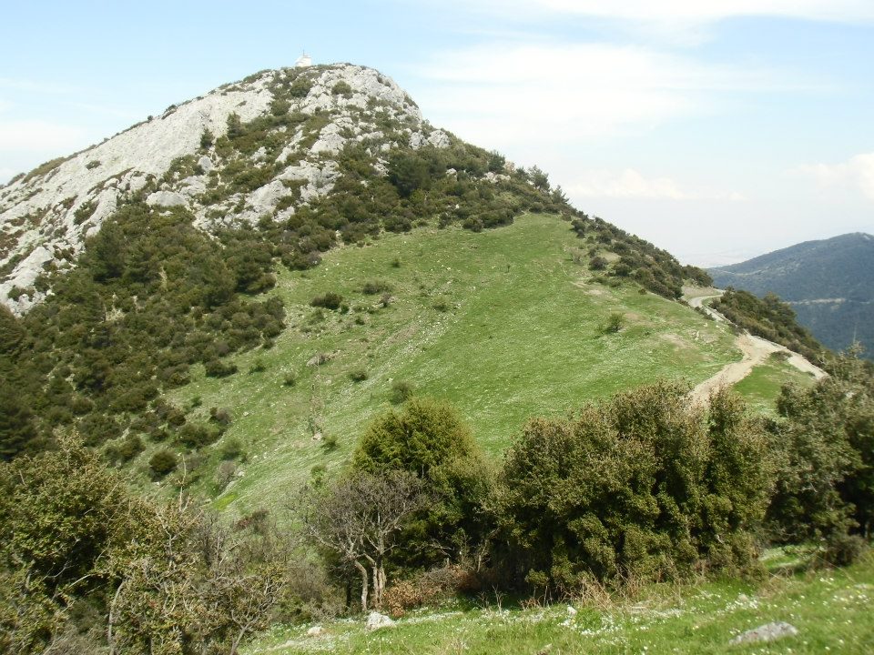 GÃƒÂƒÃ‚ÂƒÃƒÂ‚Ã‚Â¼zelbaÃƒÂƒÃ‚ÂƒÃƒÂ‚Ã‚Â§e - 3T - NarlÃƒÂƒÃ‚Â„ÃƒÂ‚Ã‚Â±dere 019.jpg