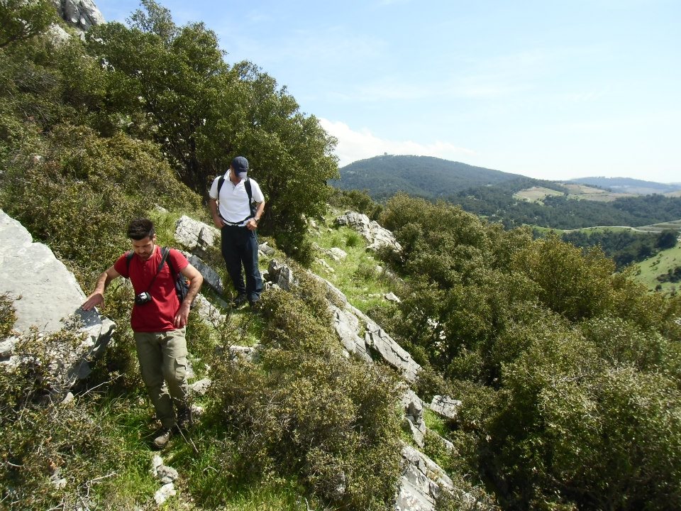 GÃƒÂƒÃ‚ÂƒÃƒÂ‚Ã‚Â¼zelbaÃƒÂƒÃ‚ÂƒÃƒÂ‚Ã‚Â§e - 3T - NarlÃƒÂƒÃ‚Â„ÃƒÂ‚Ã‚Â±dere 021.jpg