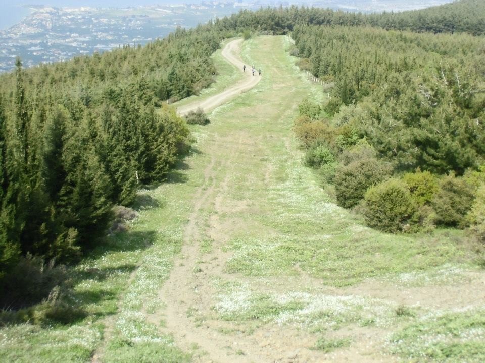 GÃƒÂƒÃ‚ÂƒÃƒÂ‚Ã‚Â¼zelbaÃƒÂƒÃ‚ÂƒÃƒÂ‚Ã‚Â§e - 3T - NarlÃƒÂƒÃ‚Â„ÃƒÂ‚Ã‚Â±dere 023.jpg