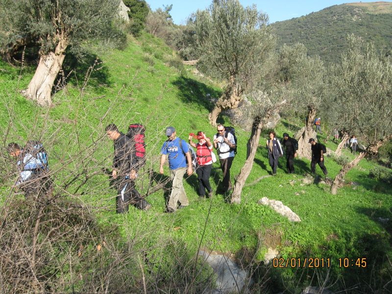 GÃƒÂƒÃ‚ÂƒÃƒÂ‚Ã‚Â¼zelbahÃƒÂƒÃ‚ÂƒÃƒÂ‚Ã‚Â§e  - K.Dere 02.01.2011 015.jpg