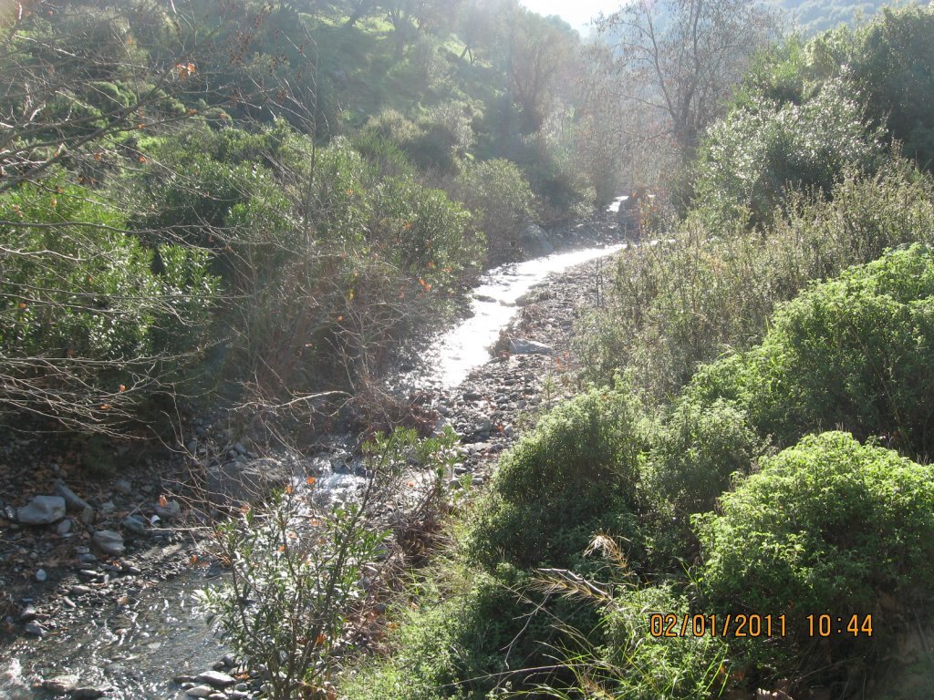 GÃƒÂƒÃ‚ÂƒÃƒÂ‚Ã‚Â¼zelbahÃƒÂƒÃ‚ÂƒÃƒÂ‚Ã‚Â§e KavacÃƒÂƒÃ‚Â„ÃƒÂ‚Ã‚Â±k Dere 02.01.2011 014.jpg