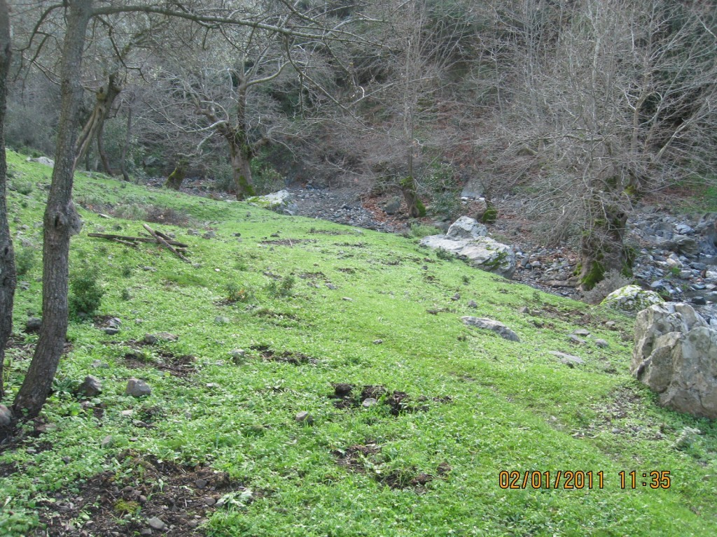 GÃƒÂƒÃ‚ÂƒÃƒÂ‚Ã‚Â¼zelbahÃƒÂƒÃ‚ÂƒÃƒÂ‚Ã‚Â§e KavacÃƒÂƒÃ‚Â„ÃƒÂ‚Ã‚Â±k Dere 02.01.2011 020.jpg