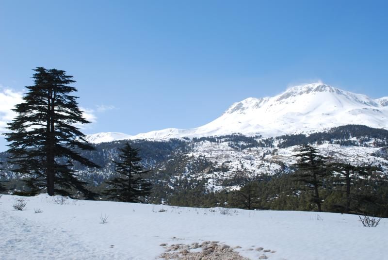 gÃƒÂƒÃ‚ÂƒÃƒÂ‚Ã‚Â¶mbe 010_800x536.jpg