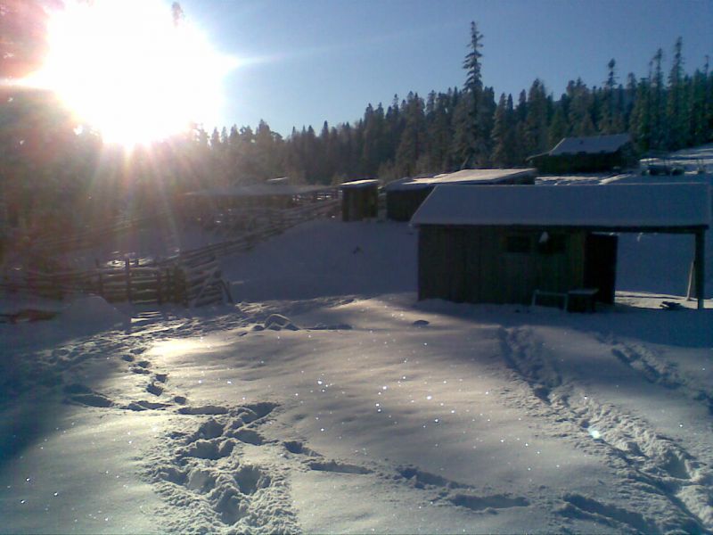 GÃƒÂƒÃ‚ÂƒÃƒÂ‚Ã‚Â¶rÃƒÂƒÃ‚ÂƒÃƒÂ‚Ã‚Â¼ntÃƒÂƒÃ‚ÂƒÃƒÂ‚Ã‚Â¼006.jpg