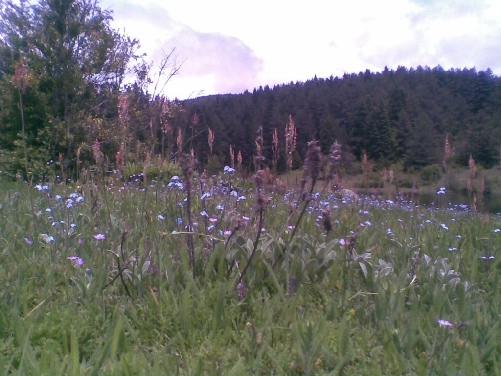 GÃƒÂƒÃ‚ÂƒÃƒÂ‚Ã‚Â¶rÃƒÂƒÃ‚ÂƒÃƒÂ‚Ã‚Â¼ntÃƒÂƒÃ‚ÂƒÃƒÂ‚Ã‚Â¼012.jpg
