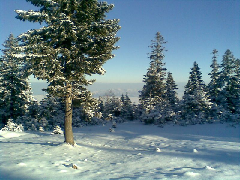 GÃƒÂƒÃ‚ÂƒÃƒÂ‚Ã‚Â¶rÃƒÂƒÃ‚ÂƒÃƒÂ‚Ã‚Â¼ntÃƒÂƒÃ‚ÂƒÃƒÂ‚Ã‚Â¼014.jpg