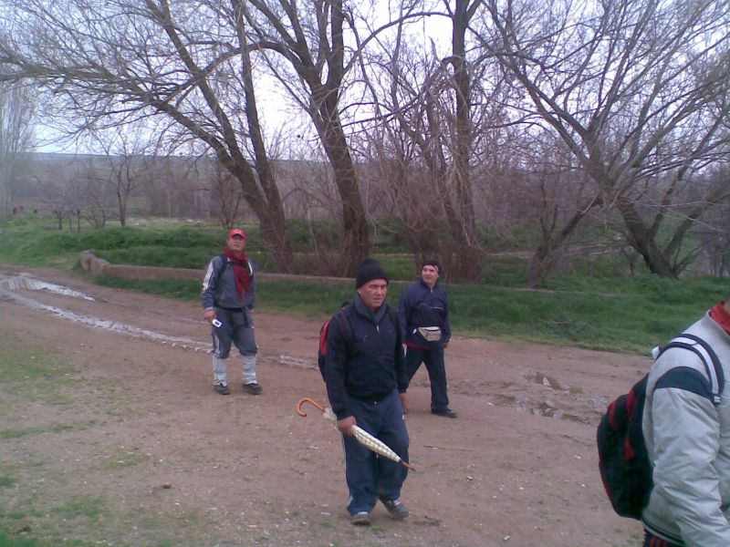 GÃƒÂƒÃ‚ÂƒÃƒÂ‚Ã‚Â¶rÃƒÂƒÃ‚ÂƒÃƒÂ‚Ã‚Â¼ntÃƒÂƒÃ‚ÂƒÃƒÂ‚Ã‚Â¼014.jpg