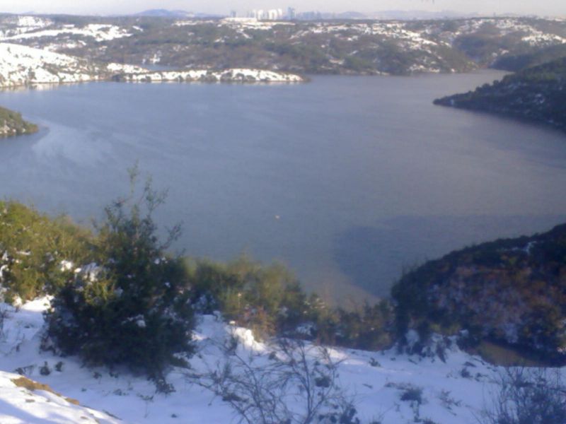 GÃƒÂƒÃ‚ÂƒÃƒÂ‚Ã‚Â¶rÃƒÂƒÃ‚ÂƒÃƒÂ‚Ã‚Â¼ntÃƒÂƒÃ‚ÂƒÃƒÂ‚Ã‚Â¼019.jpg