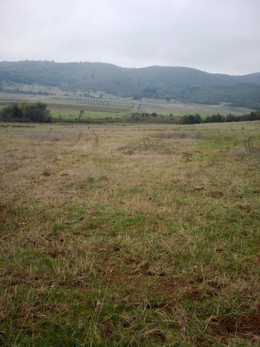 GÃƒÂƒÃ‚ÂƒÃƒÂ‚Ã‚Â¶rÃƒÂƒÃ‚ÂƒÃƒÂ‚Ã‚Â¼ntÃƒÂƒÃ‚ÂƒÃƒÂ‚Ã‚Â¼0196.jpg