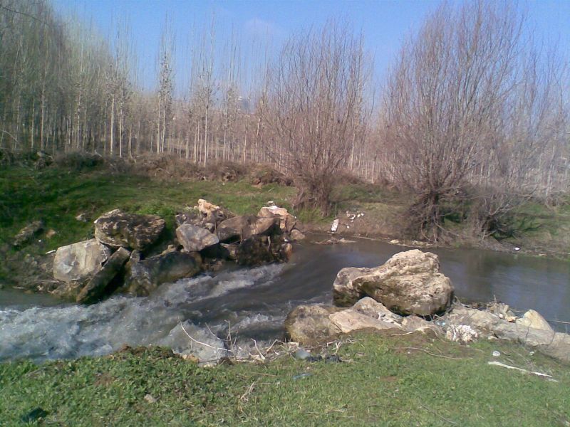 GÃƒÂƒÃ‚ÂƒÃƒÂ‚Ã‚Â¶rÃƒÂƒÃ‚ÂƒÃƒÂ‚Ã‚Â¼ntÃƒÂƒÃ‚ÂƒÃƒÂ‚Ã‚Â¼020.jpg