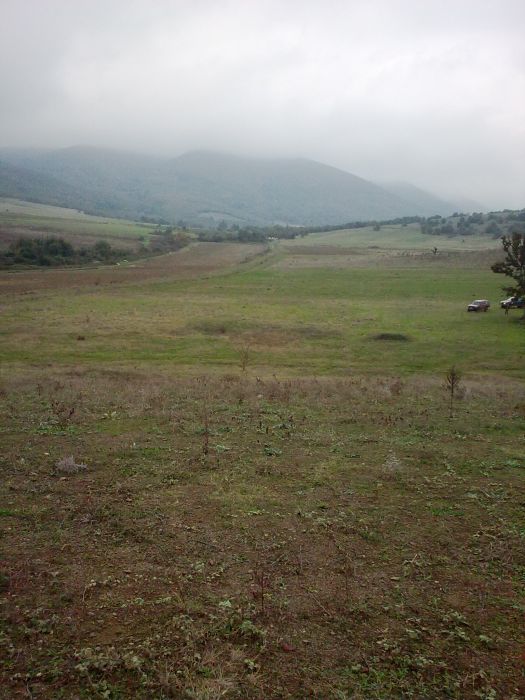 GÃƒÂƒÃ‚ÂƒÃƒÂ‚Ã‚Â¶rÃƒÂƒÃ‚ÂƒÃƒÂ‚Ã‚Â¼ntÃƒÂƒÃ‚ÂƒÃƒÂ‚Ã‚Â¼0200.jpg