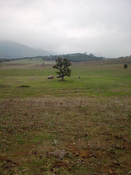 GÃƒÂƒÃ‚ÂƒÃƒÂ‚Ã‚Â¶rÃƒÂƒÃ‚ÂƒÃƒÂ‚Ã‚Â¼ntÃƒÂƒÃ‚ÂƒÃƒÂ‚Ã‚Â¼0203.jpg