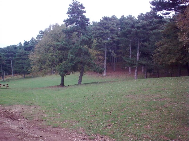 GÃƒÂƒÃ‚ÂƒÃƒÂ‚Ã‚Â¶rÃƒÂƒÃ‚ÂƒÃƒÂ‚Ã‚Â¼ntÃƒÂƒÃ‚ÂƒÃƒÂ‚Ã‚Â¼0206.jpg