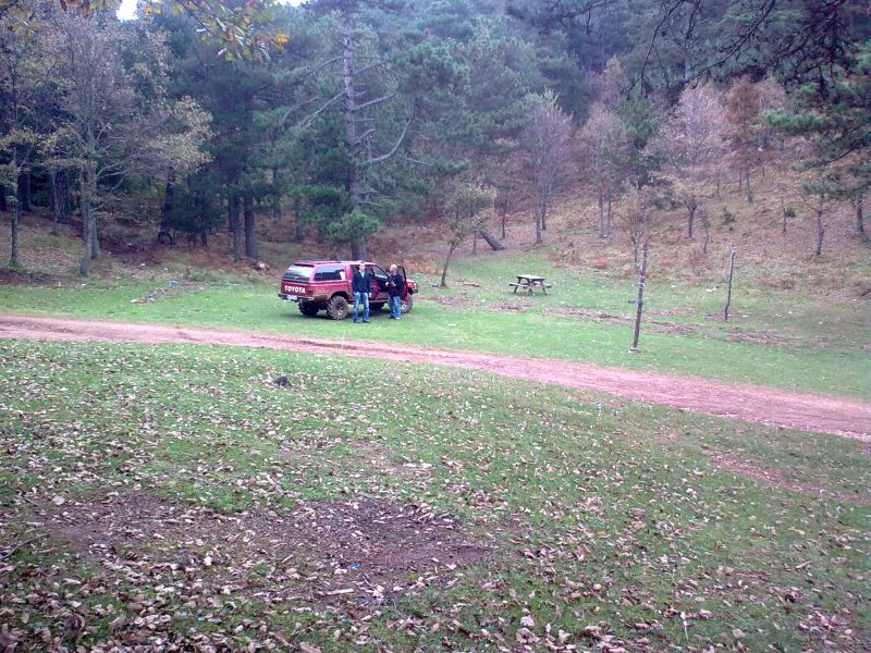 GÃƒÂƒÃ‚ÂƒÃƒÂ‚Ã‚Â¶rÃƒÂƒÃ‚ÂƒÃƒÂ‚Ã‚Â¼ntÃƒÂƒÃ‚ÂƒÃƒÂ‚Ã‚Â¼0208.jpg