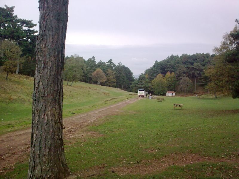 GÃƒÂƒÃ‚ÂƒÃƒÂ‚Ã‚Â¶rÃƒÂƒÃ‚ÂƒÃƒÂ‚Ã‚Â¼ntÃƒÂƒÃ‚ÂƒÃƒÂ‚Ã‚Â¼0209.jpg