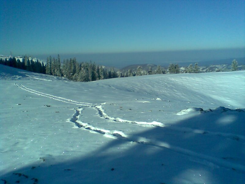 GÃƒÂƒÃ‚ÂƒÃƒÂ‚Ã‚Â¶rÃƒÂƒÃ‚ÂƒÃƒÂ‚Ã‚Â¼ntÃƒÂƒÃ‚ÂƒÃƒÂ‚Ã‚Â¼022.jpg