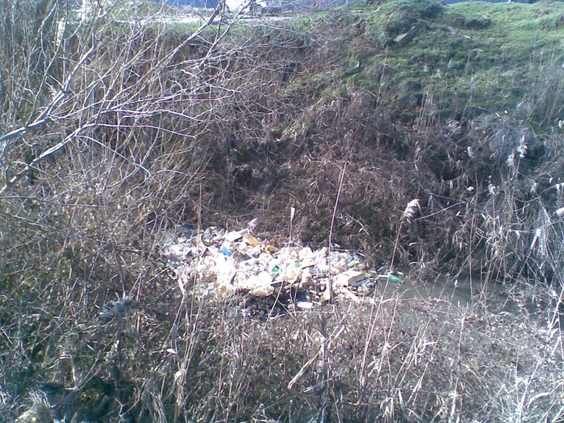 GÃƒÂƒÃ‚ÂƒÃƒÂ‚Ã‚Â¶rÃƒÂƒÃ‚ÂƒÃƒÂ‚Ã‚Â¼ntÃƒÂƒÃ‚ÂƒÃƒÂ‚Ã‚Â¼022.jpg