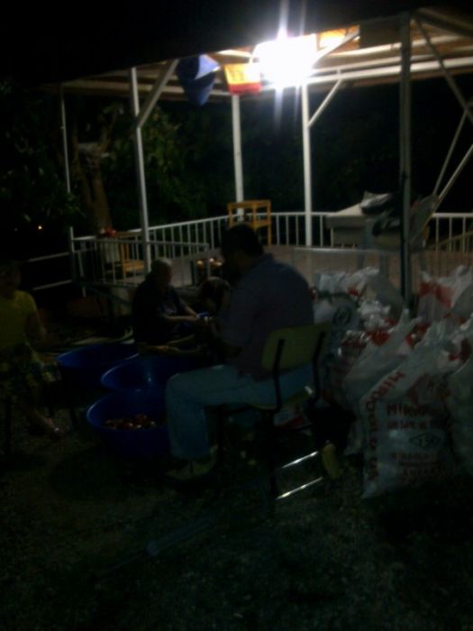 GÃƒÂƒÃ‚ÂƒÃƒÂ‚Ã‚Â¶rÃƒÂƒÃ‚ÂƒÃƒÂ‚Ã‚Â¼ntÃƒÂƒÃ‚ÂƒÃƒÂ‚Ã‚Â¼0453 [800x600].jpg