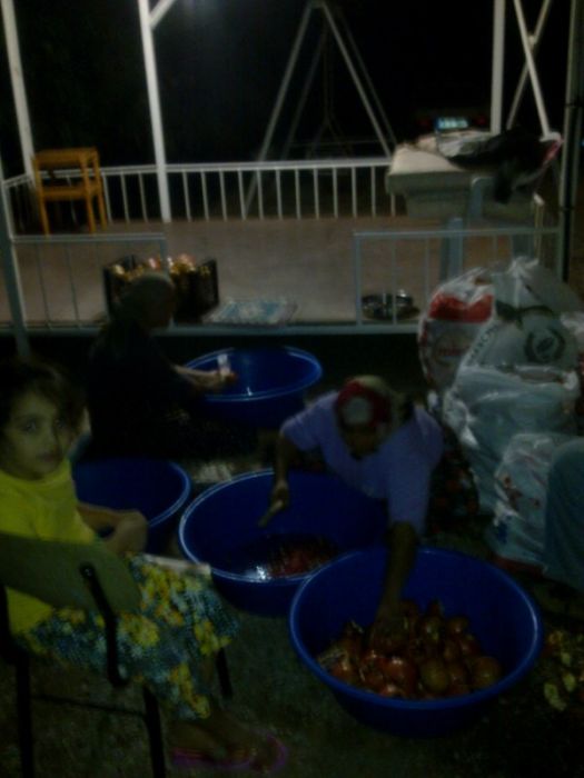 GÃƒÂƒÃ‚ÂƒÃƒÂ‚Ã‚Â¶rÃƒÂƒÃ‚ÂƒÃƒÂ‚Ã‚Â¼ntÃƒÂƒÃ‚ÂƒÃƒÂ‚Ã‚Â¼0454 [800x600].jpg