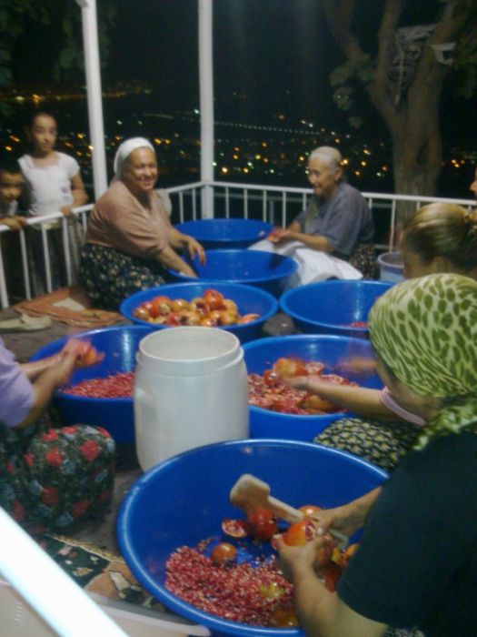 GÃƒÂƒÃ‚ÂƒÃƒÂ‚Ã‚Â¶rÃƒÂƒÃ‚ÂƒÃƒÂ‚Ã‚Â¼ntÃƒÂƒÃ‚ÂƒÃƒÂ‚Ã‚Â¼0458 [800x600].jpg