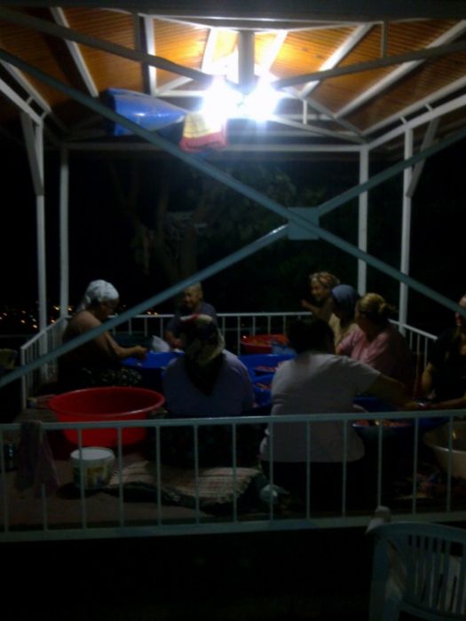 GÃƒÂƒÃ‚ÂƒÃƒÂ‚Ã‚Â¶rÃƒÂƒÃ‚ÂƒÃƒÂ‚Ã‚Â¼ntÃƒÂƒÃ‚ÂƒÃƒÂ‚Ã‚Â¼0461 [800x600].jpg