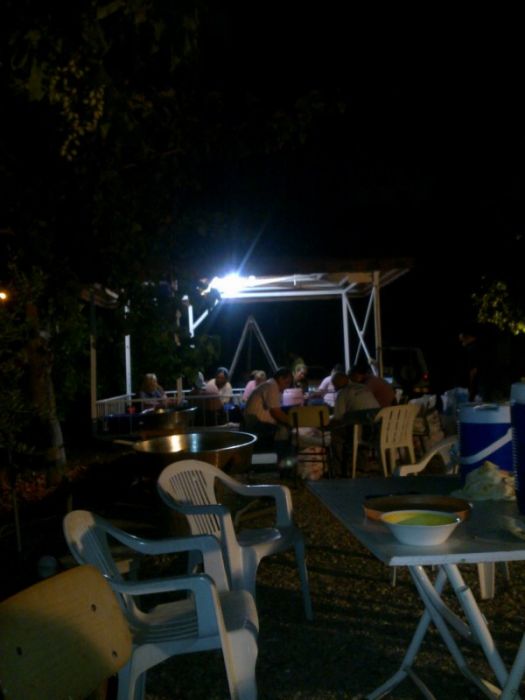 GÃƒÂƒÃ‚ÂƒÃƒÂ‚Ã‚Â¶rÃƒÂƒÃ‚ÂƒÃƒÂ‚Ã‚Â¼ntÃƒÂƒÃ‚ÂƒÃƒÂ‚Ã‚Â¼0466 [800x600].jpg