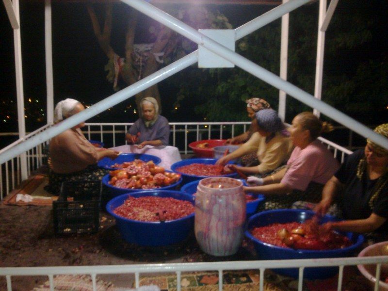 GÃƒÂƒÃ‚ÂƒÃƒÂ‚Ã‚Â¶rÃƒÂƒÃ‚ÂƒÃƒÂ‚Ã‚Â¼ntÃƒÂƒÃ‚ÂƒÃƒÂ‚Ã‚Â¼0468 [800x600].jpg