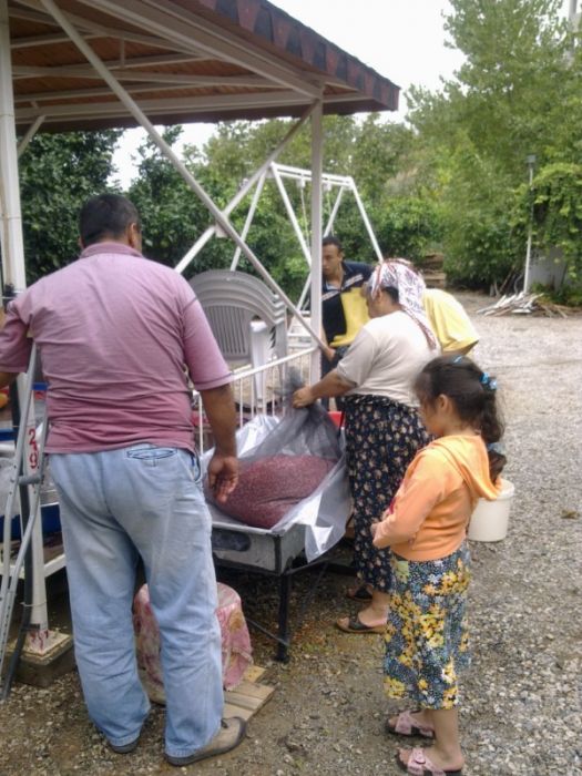 GÃƒÂƒÃ‚ÂƒÃƒÂ‚Ã‚Â¶rÃƒÂƒÃ‚ÂƒÃƒÂ‚Ã‚Â¼ntÃƒÂƒÃ‚ÂƒÃƒÂ‚Ã‚Â¼0470 [800x600].jpg