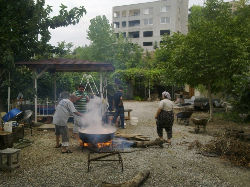 GÃƒÂƒÃ‚ÂƒÃƒÂ‚Ã‚Â¶rÃƒÂƒÃ‚ÂƒÃƒÂ‚Ã‚Â¼ntÃƒÂƒÃ‚ÂƒÃƒÂ‚Ã‚Â¼0475 [800x600].jpg