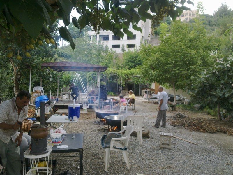 GÃƒÂƒÃ‚ÂƒÃƒÂ‚Ã‚Â¶rÃƒÂƒÃ‚ÂƒÃƒÂ‚Ã‚Â¼ntÃƒÂƒÃ‚ÂƒÃƒÂ‚Ã‚Â¼0478 [800x600].jpg