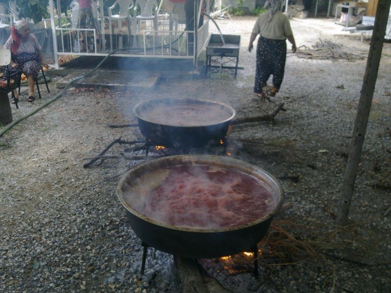 GÃƒÂƒÃ‚ÂƒÃƒÂ‚Ã‚Â¶rÃƒÂƒÃ‚ÂƒÃƒÂ‚Ã‚Â¼ntÃƒÂƒÃ‚ÂƒÃƒÂ‚Ã‚Â¼0487 [800x600].jpg