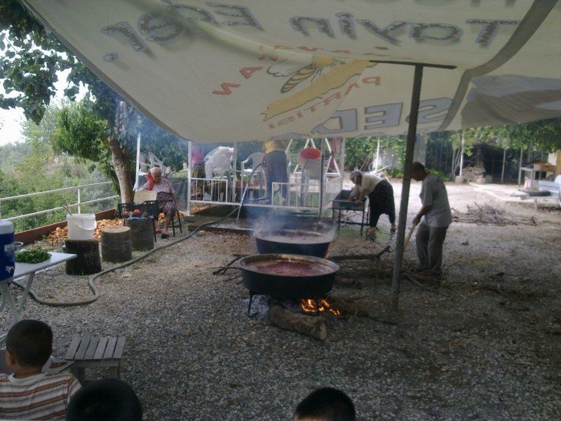 GÃƒÂƒÃ‚ÂƒÃƒÂ‚Ã‚Â¶rÃƒÂƒÃ‚ÂƒÃƒÂ‚Ã‚Â¼ntÃƒÂƒÃ‚ÂƒÃƒÂ‚Ã‚Â¼0489 [800x600].jpg