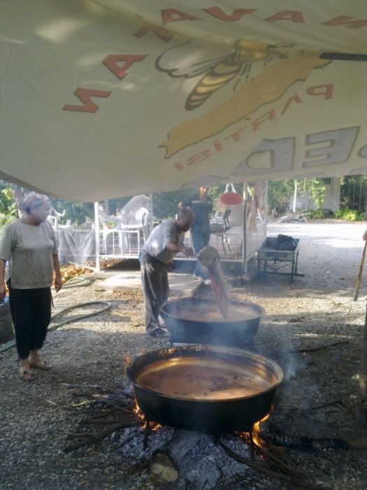 GÃƒÂƒÃ‚ÂƒÃƒÂ‚Ã‚Â¶rÃƒÂƒÃ‚ÂƒÃƒÂ‚Ã‚Â¼ntÃƒÂƒÃ‚ÂƒÃƒÂ‚Ã‚Â¼0491 [800x600].jpg