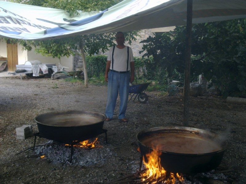 GÃƒÂƒÃ‚ÂƒÃƒÂ‚Ã‚Â¶rÃƒÂƒÃ‚ÂƒÃƒÂ‚Ã‚Â¼ntÃƒÂƒÃ‚ÂƒÃƒÂ‚Ã‚Â¼0494 [800x600].jpg