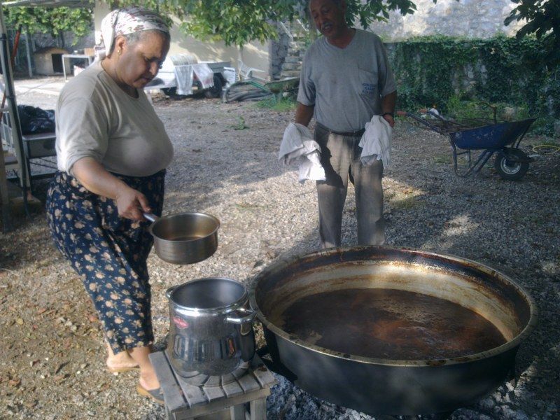 GÃƒÂƒÃ‚ÂƒÃƒÂ‚Ã‚Â¶rÃƒÂƒÃ‚ÂƒÃƒÂ‚Ã‚Â¼ntÃƒÂƒÃ‚ÂƒÃƒÂ‚Ã‚Â¼0497 [800x600].jpg