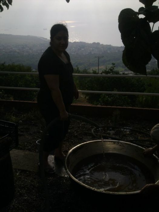 GÃƒÂƒÃ‚ÂƒÃƒÂ‚Ã‚Â¶rÃƒÂƒÃ‚ÂƒÃƒÂ‚Ã‚Â¼ntÃƒÂƒÃ‚ÂƒÃƒÂ‚Ã‚Â¼0499 [800x600].jpg